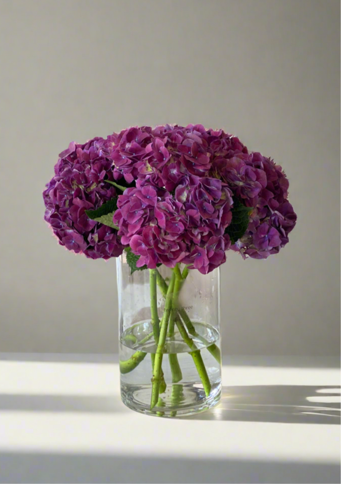 Hydrangea Vase