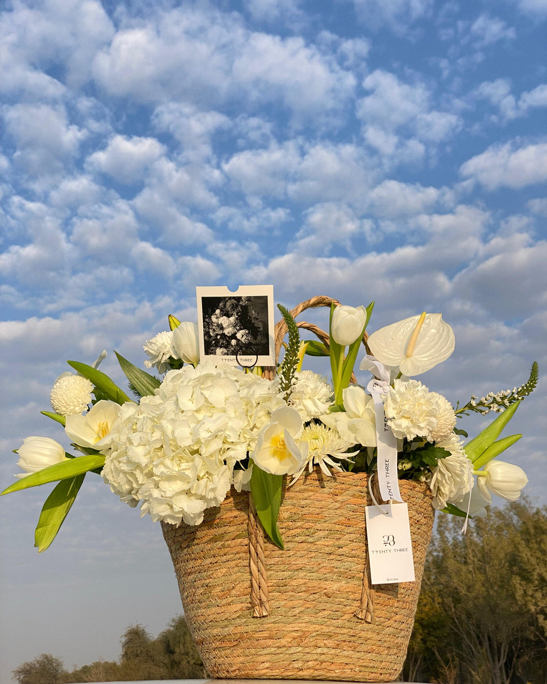 White Hydrangea Basket