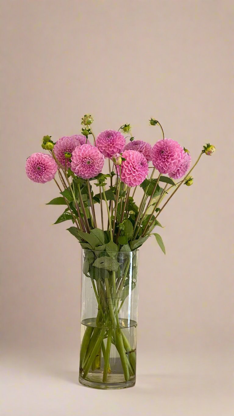 Pink Dahlia Vase