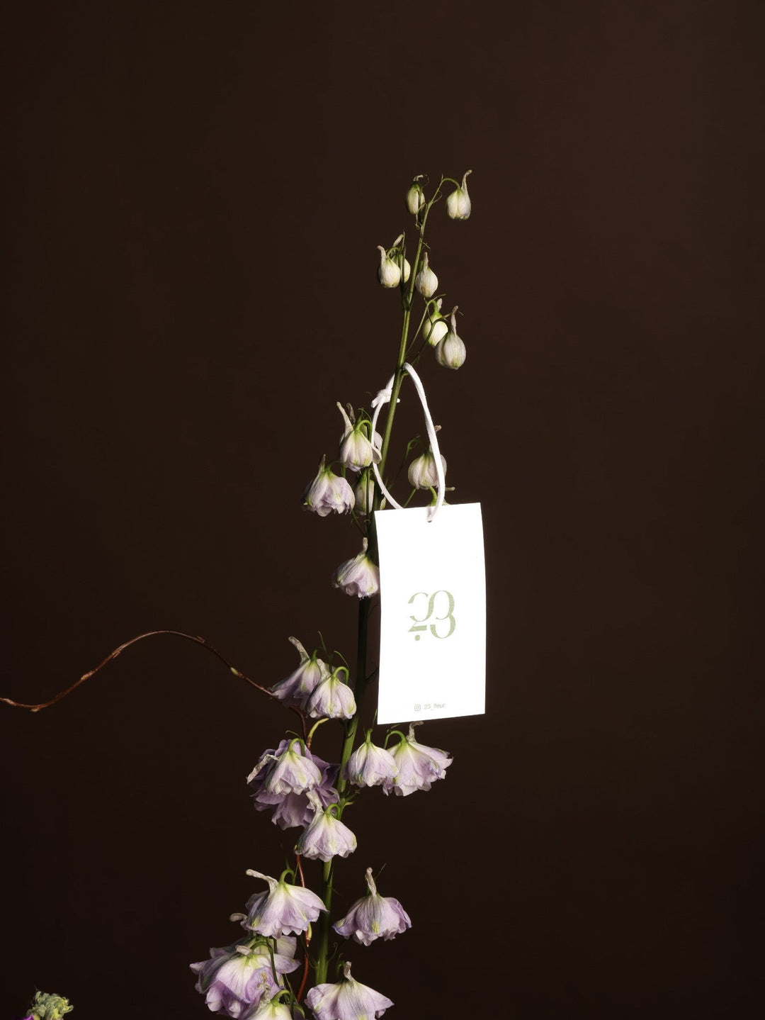 Eid Blooming Tray - Twenty Three Flowers & Chocolate