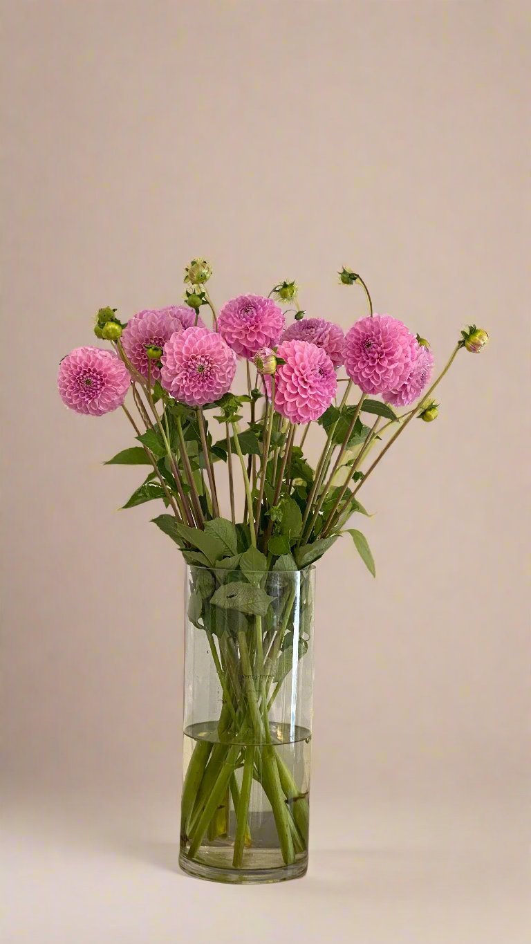 Pink Dahlia Vase - Twenty Three Flowers & Chocolate