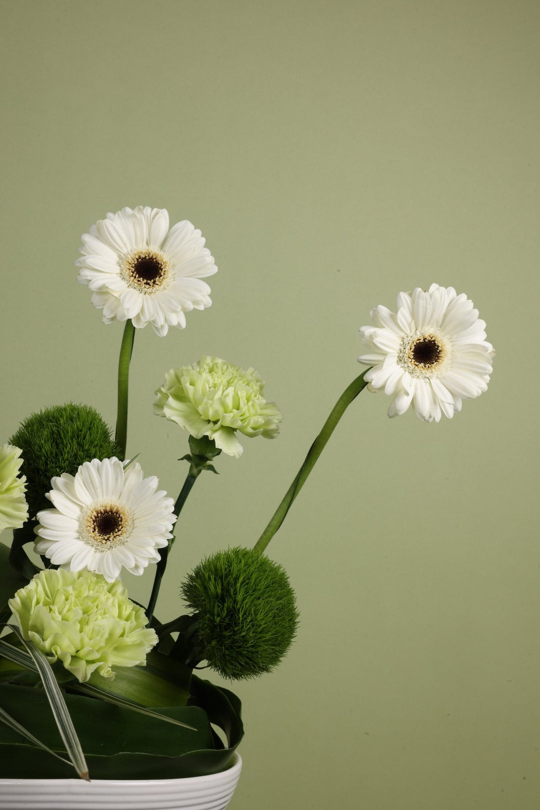 Zen Bloom Vase - Twenty Three Flowers & Chocolate