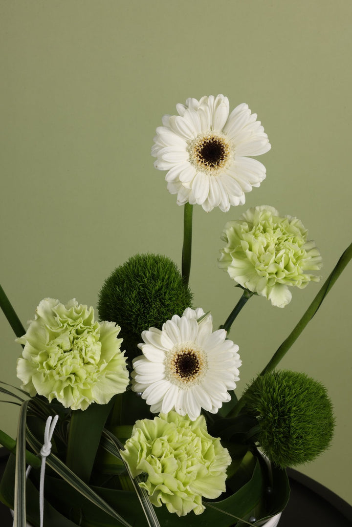 Zen Bloom Vase - Twenty Three Flowers & Chocolate
